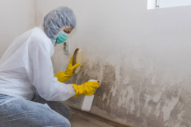 Best Mold Testing  in Mitchell, IN