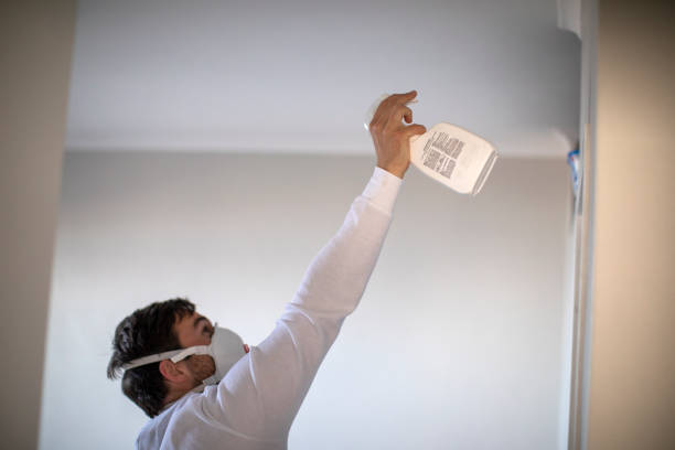 Best Crawl Space Mold Removal  in Mitchell, IN